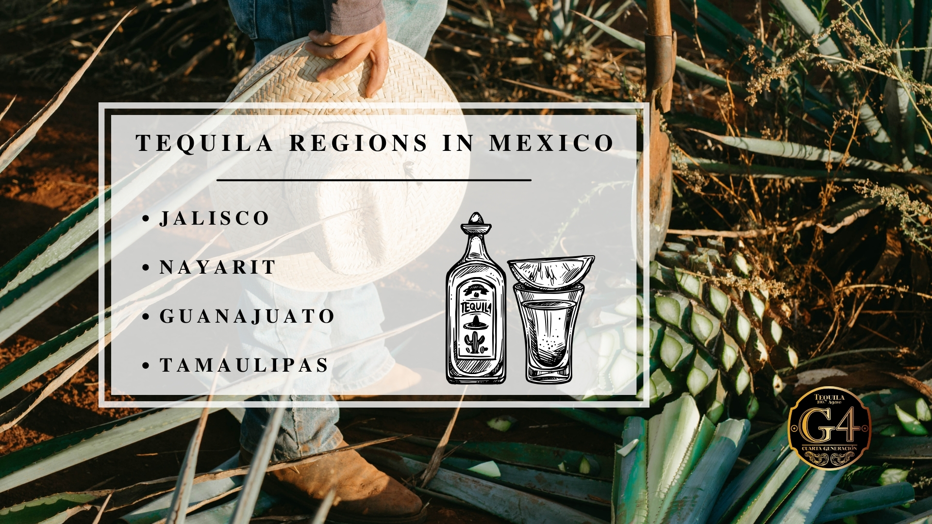 Infographic image of tequila regions in Mexico