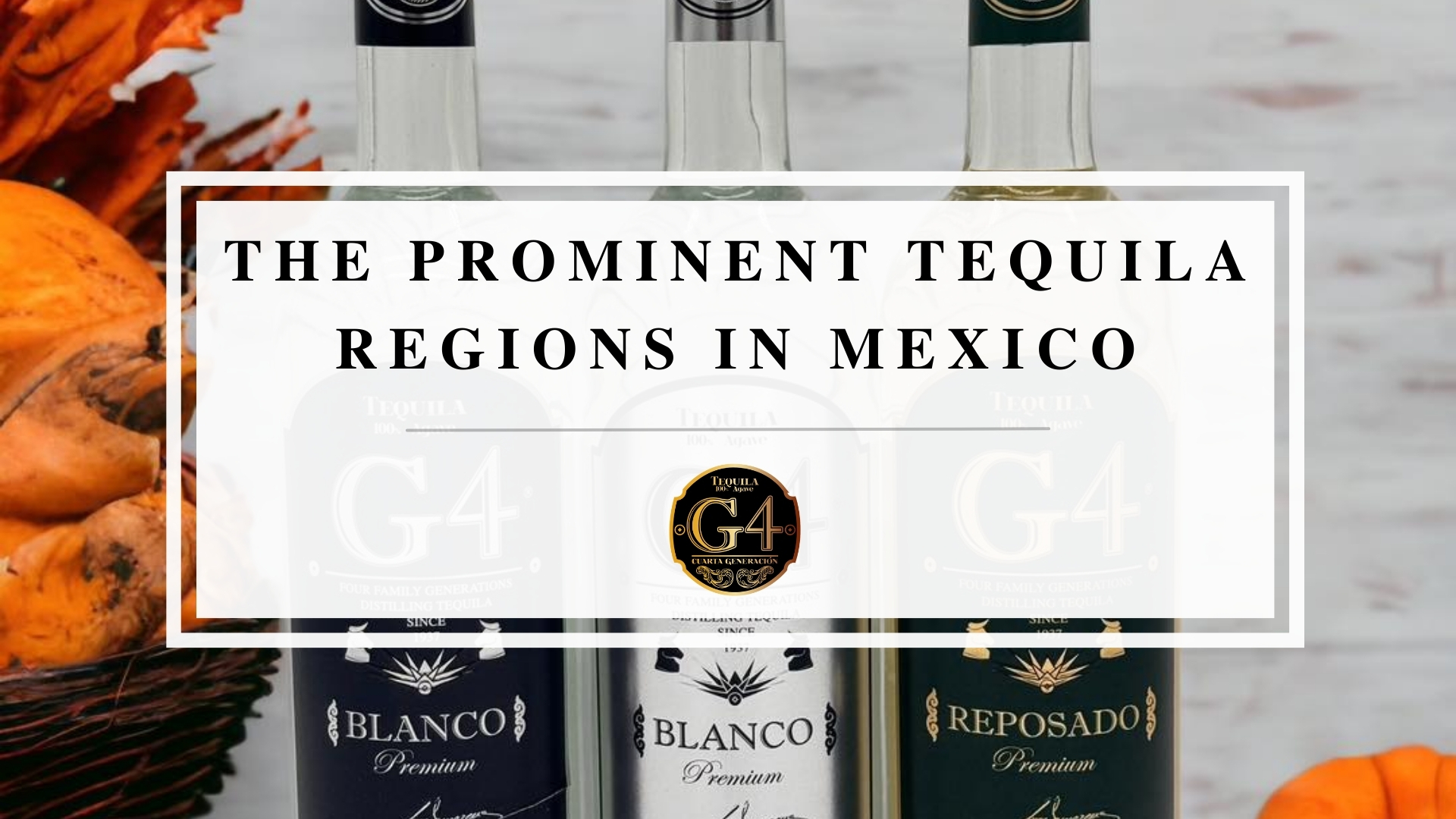 Tequila Regions In Mexico: Jalisco, Nayarit, Guanajuato, And Tamaulipas ...