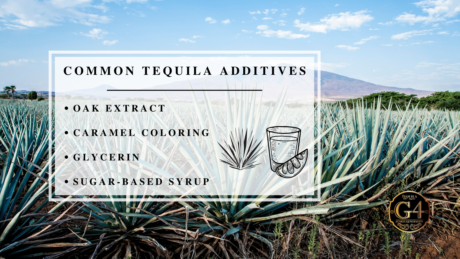 Infographic image of common tequila additives