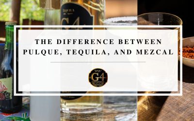 Tequila History: Pulque vs. Tequila vs. Mezcal
