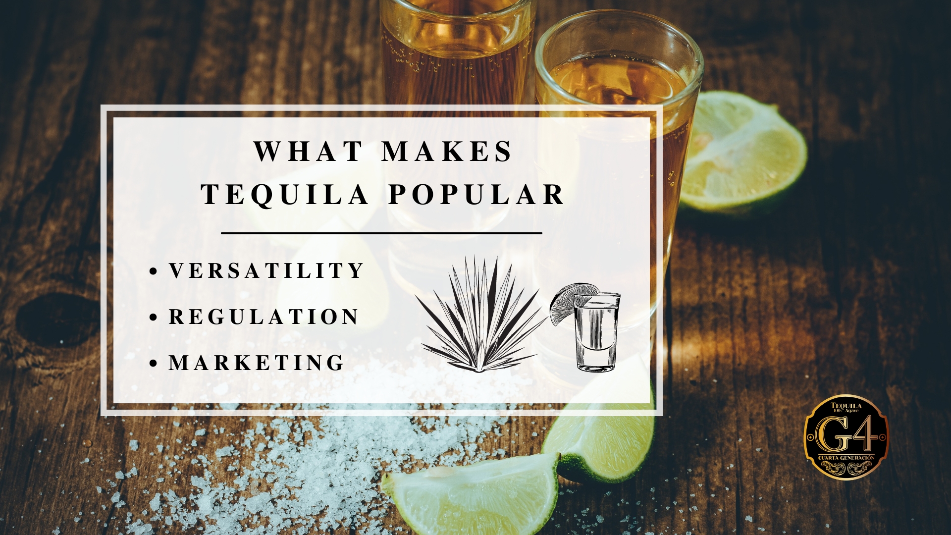 Infographic image of what makes tequila popular