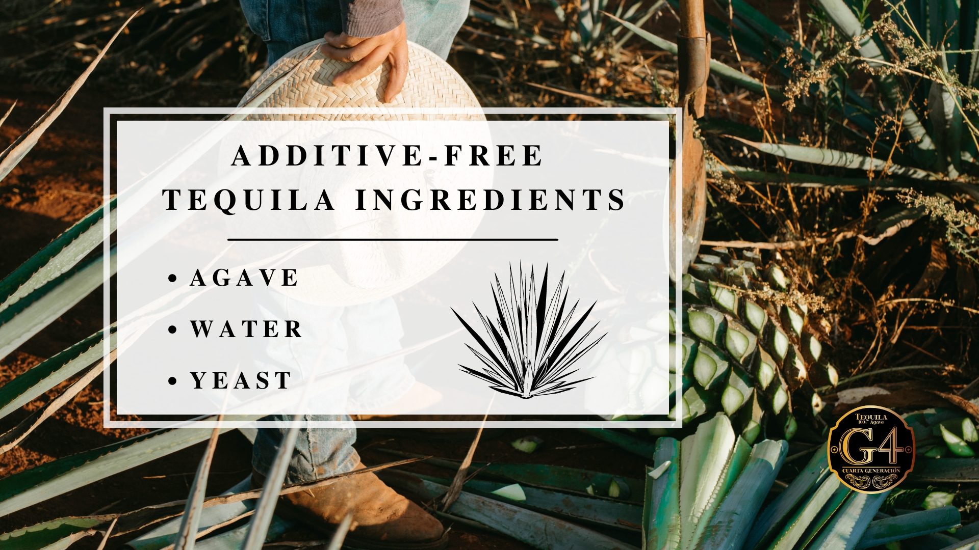 Infographic image of additive - free tequila ingredients