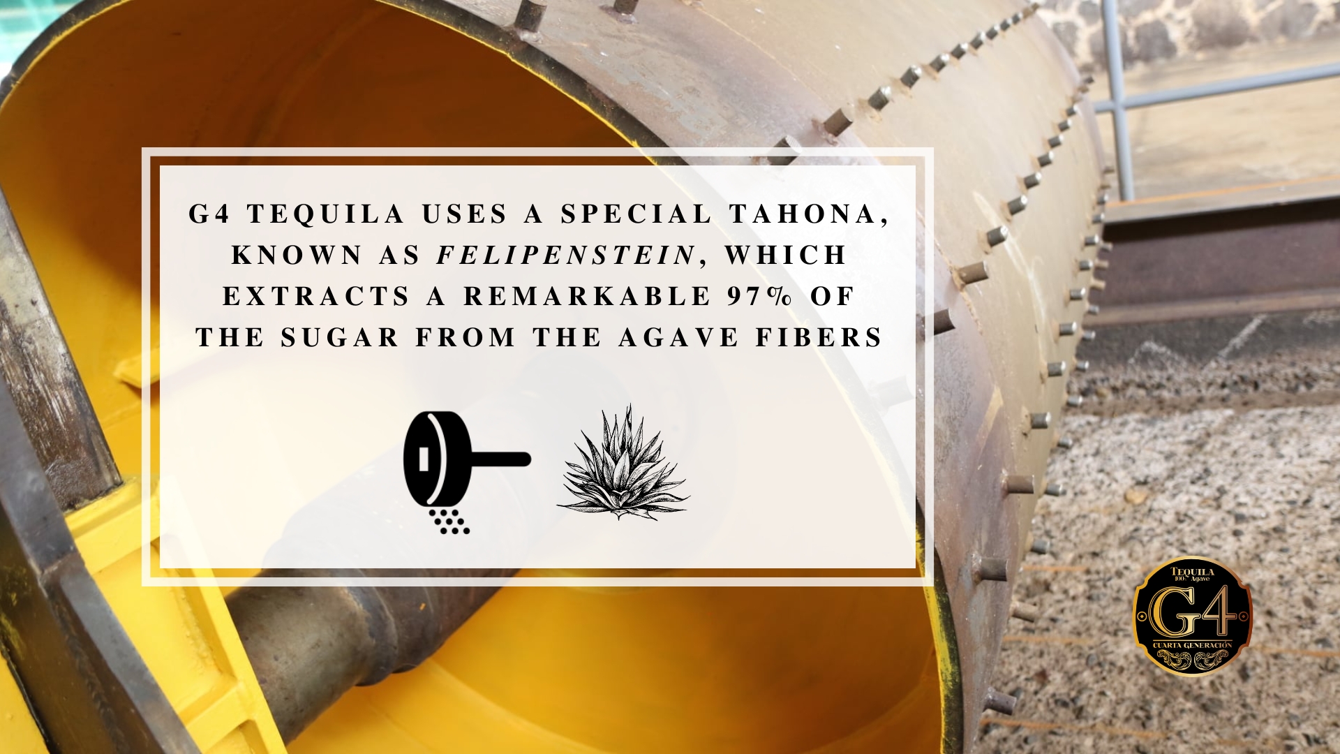 Infographic image of Felepenstein, a special tahona used by G4 Tequila